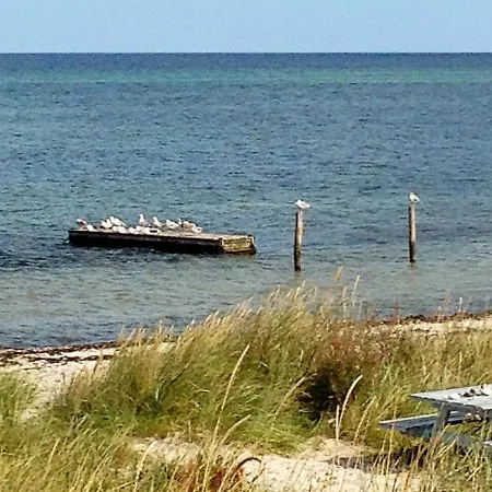 Holiday Xxv Glesborg